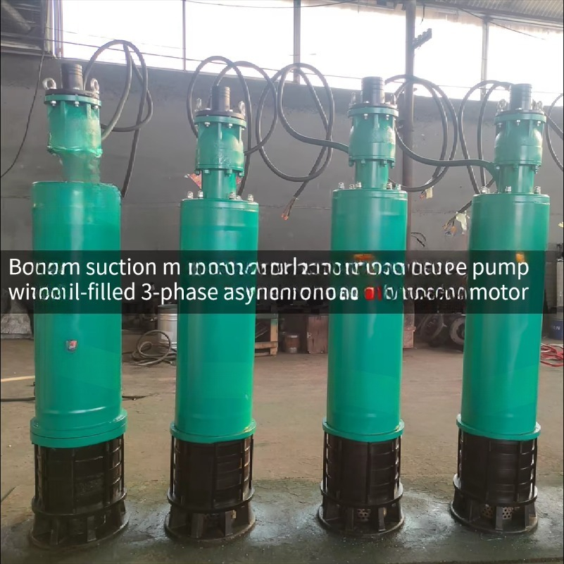 Pompe à eau submersible électr - Water Pump Submersible avis et prix