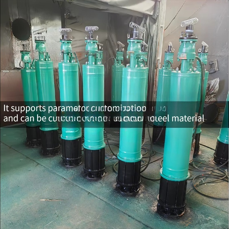 Pompe à eau submersible électr - Water Pump Submersible avis et prix