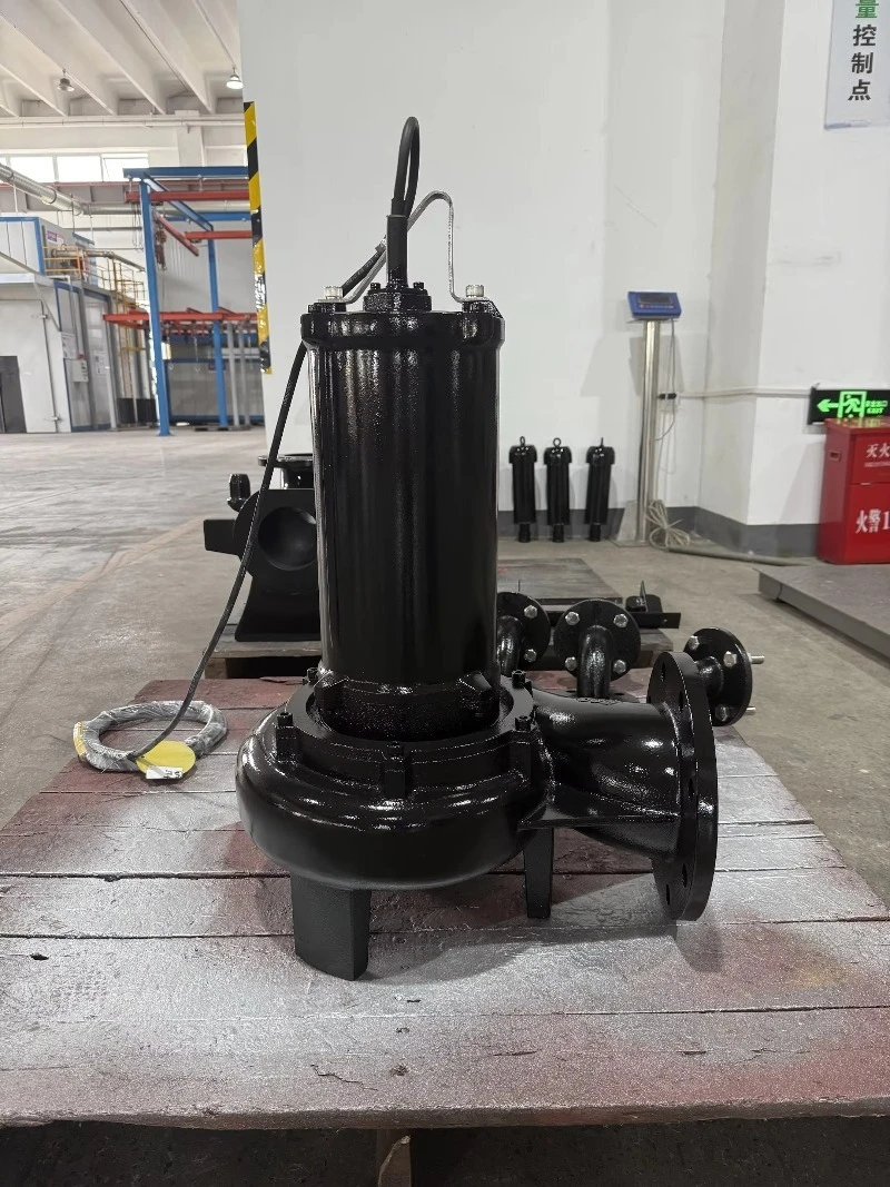 Pompe submersible pour le trai - Water Pump Submersible avis et prix