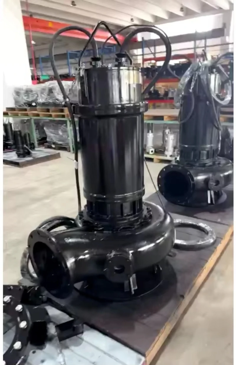 Pompe submersible pour le trai - Water Pump Submersible avis et prix